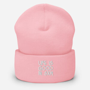 cuffed-beanie-baby-pink-front-696926857464a.jpg
