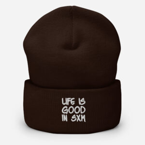 cuffed-beanie-brown-front-6969268574e13.jpg