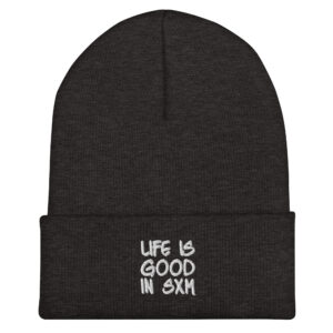 cuffed-beanie-dark-grey-front-6969268575ded.jpg
