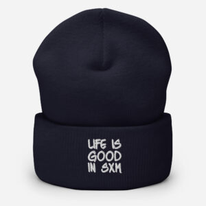 cuffed-beanie-navy-front-6969268574ed3.jpg