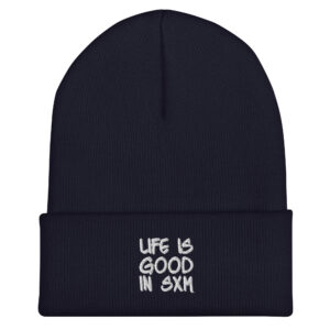 cuffed-beanie-navy-front-6969268575e37.jpg