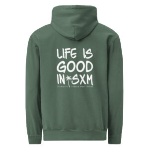 unisex-garment-dyed-hooded-sweatshirt-i-comfort-colors-1567-blue-spruce-back-69696419c724d.jpg