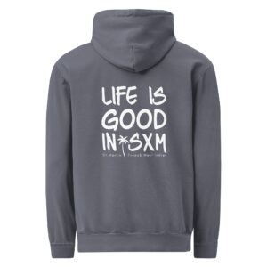 unisex-garment-dyed-hooded-sweatshirt-i-comfort-colors-1567-denim-back-69696419c7318.jpg