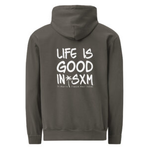 unisex-garment-dyed-hooded-sweatshirt-i-comfort-colors-1567-pepper-back-69696419c73e1.jpg