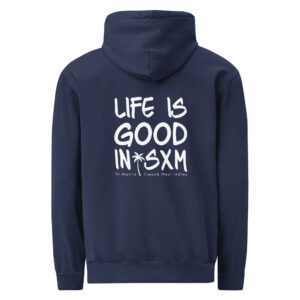 unisex-garment-dyed-hooded-sweatshirt-i-comfort-colors-1567-true-navy-back-69696419c756f.jpg