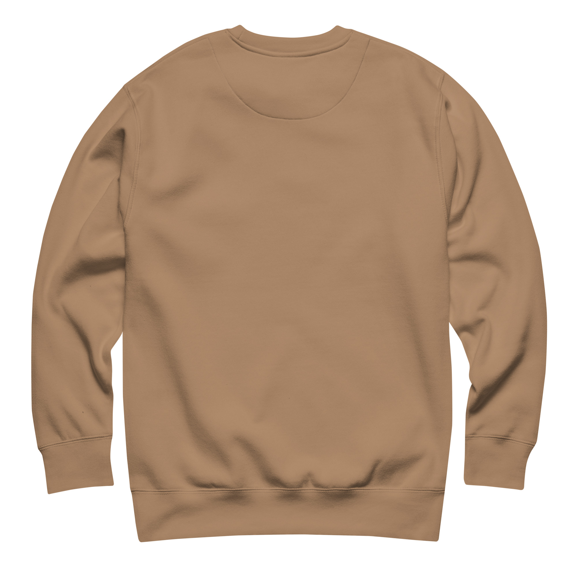 unisex-premium-sweatshirt-latte-back-696a97aa216d3.jpg