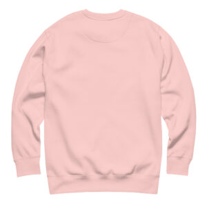 unisex-premium-sweatshirt-light-pink-back-696a97aa217f7.jpg
