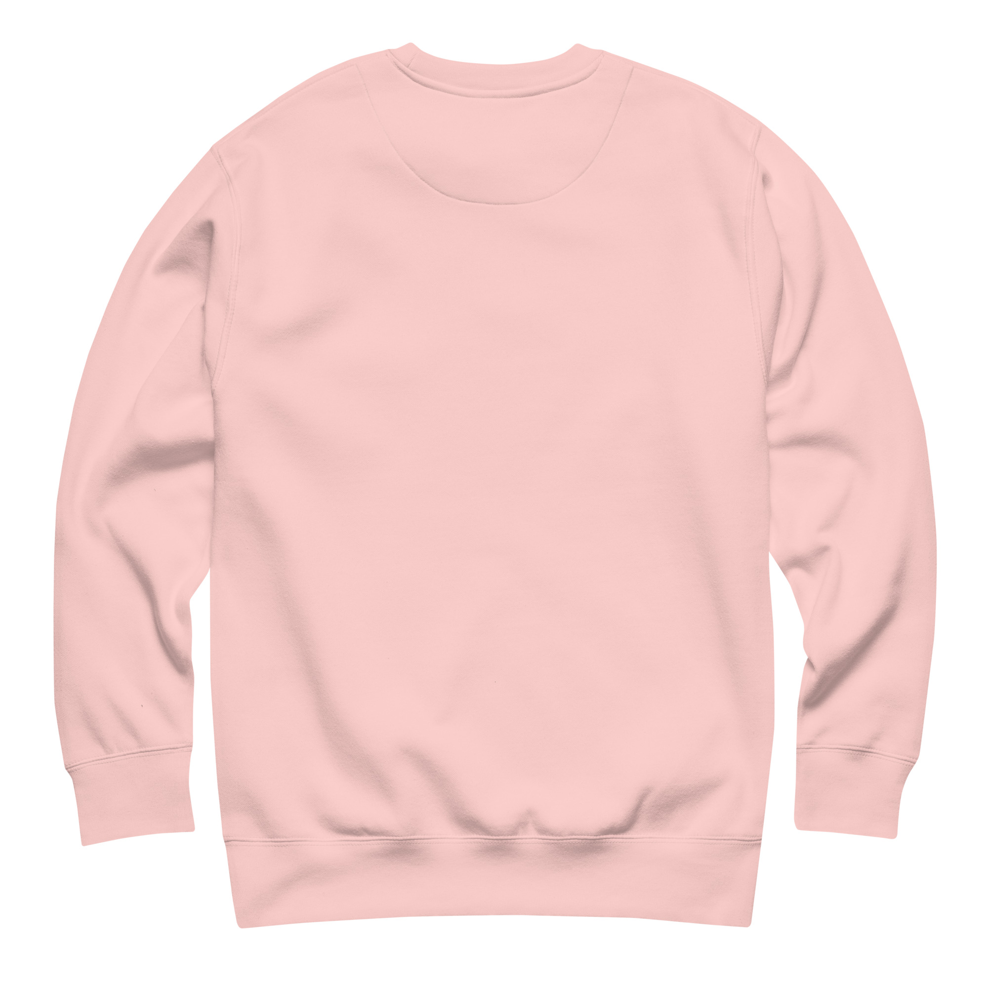 unisex-premium-sweatshirt-light-pink-back-696a97aa217f7.jpg