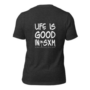 unisex-staple-t-shirt-dark-grey-heather-back-697d2c72d32a7.jpg