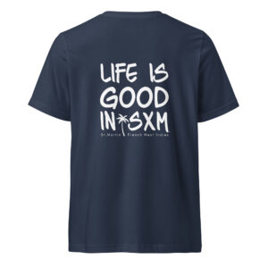 unisex-v-neck-tee-navy-back-697d2e2c7cf3c.jpg