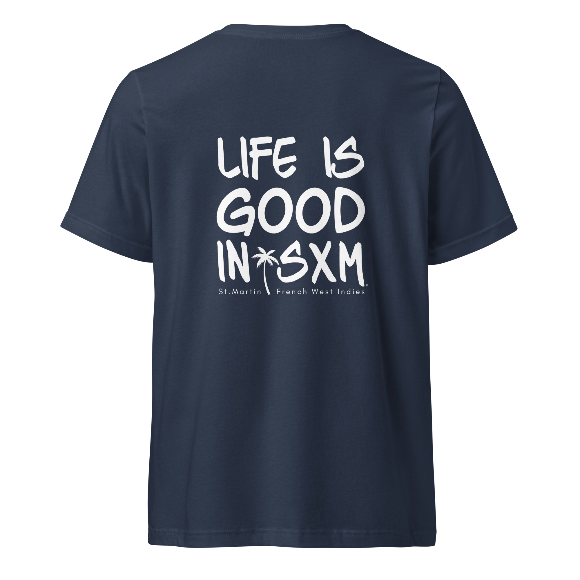 unisex-v-neck-tee-navy-back-697d2e2c7cf3c.jpg
