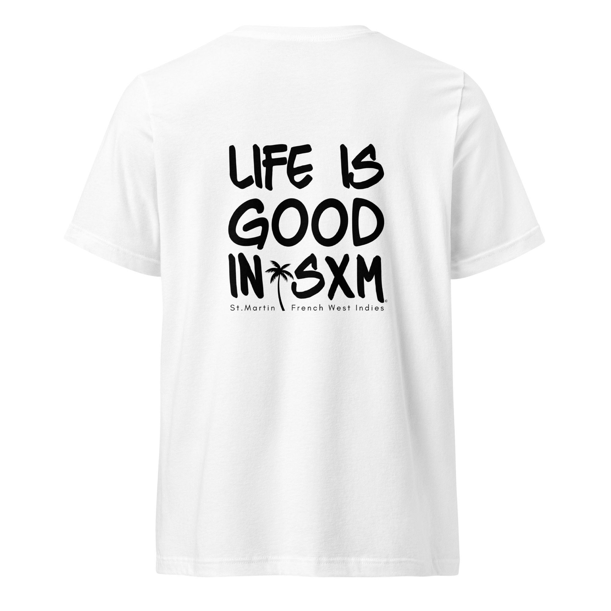 unisex-v-neck-tee-white-back-697d2eeabcf1c.jpg