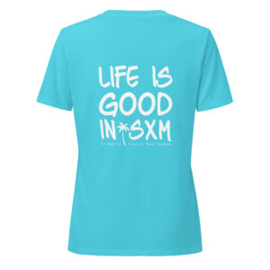 womens-relaxed-v-neck-t-shirt-turquoise-back-697d342900bb8.jpg
